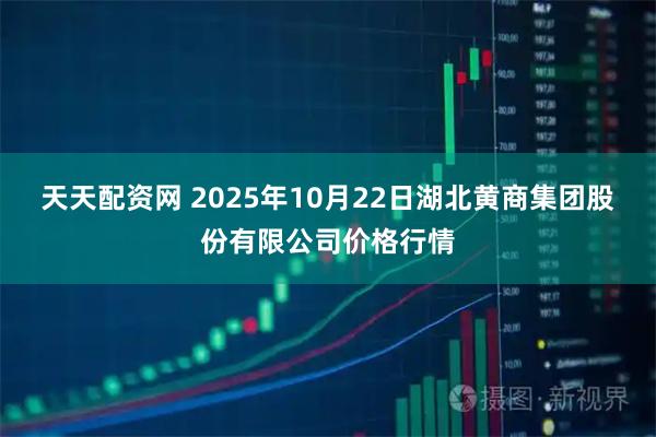 天天配资网 2025年10月22日湖北黄商集团股份有限公司价格行情
