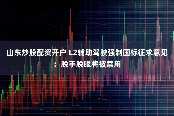 山东炒股配资开户 L2辅助驾驶强制国标征求意见：脱手脱眼将被禁用
